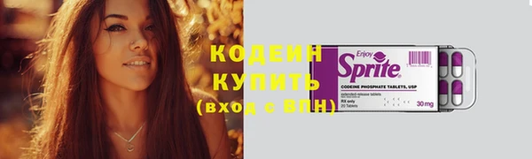 прущий лед Вяземский