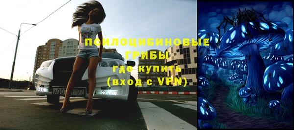 прущий лед Вяземский
