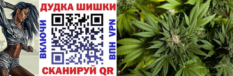 Каннабис сатива  купить закладку  Буинск 